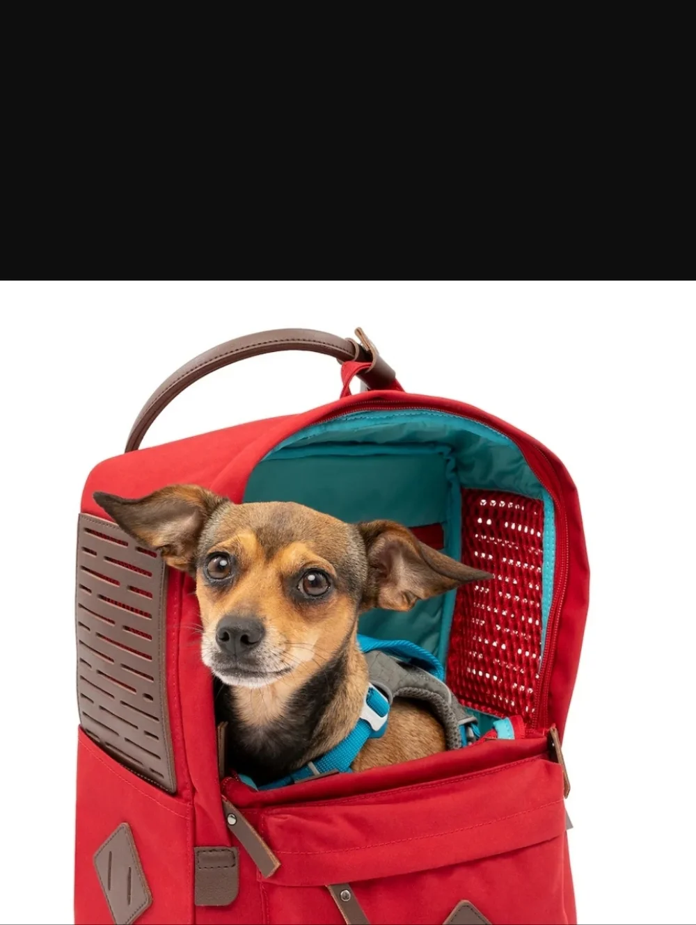Kurgo Red Pet Backpack with Teal Interior